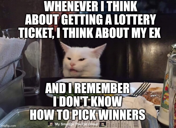 WHENEVER I THINK ABOUT GETTING A LOTTERY TICKET, I THINK ABOUT MY EX; AND I REMEMBER I DON'T KNOW HOW TO PICK WINNERS | image tagged in smudge the cat | made w/ Imgflip meme maker