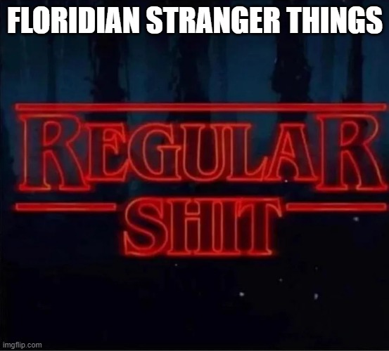 FLORIDIAN STRANGER THINGS | made w/ Imgflip meme maker