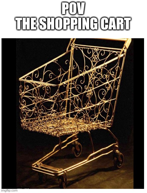 POV
THE SHOPPING CART | image tagged in blank white template | made w/ Imgflip meme maker