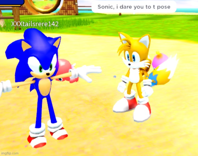 sonic t poses | image tagged in sonic t posing | made w/ Imgflip meme maker