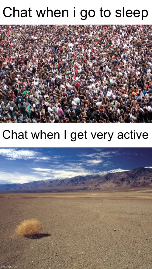 Timezones moment1!1!1!1!1!1!! | Chat when i go to sleep; Chat when I get very active | image tagged in crowd of people,desert tumbleweed | made w/ Imgflip meme maker