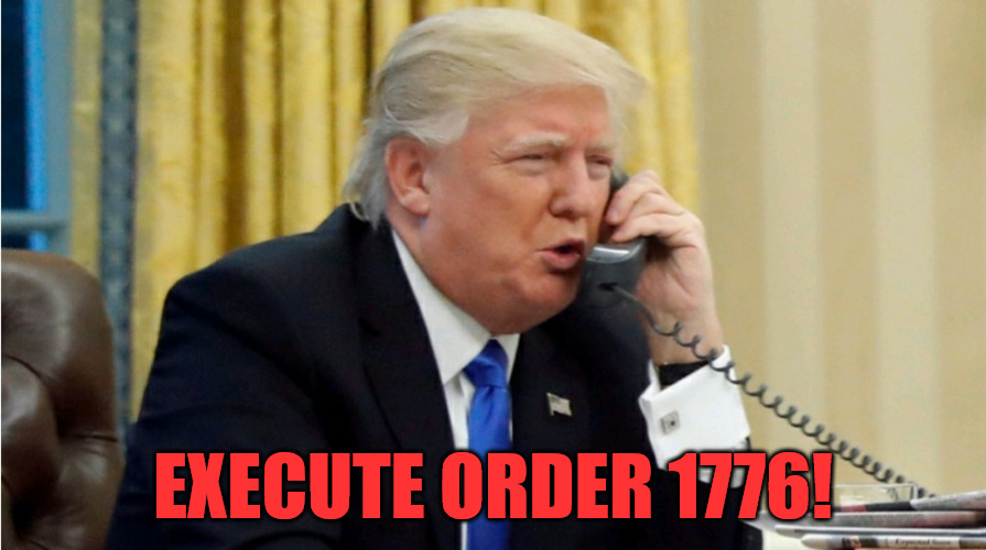 Order 1776 |  EXECUTE ORDER 1776! | image tagged in trump on phone | made w/ Imgflip meme maker