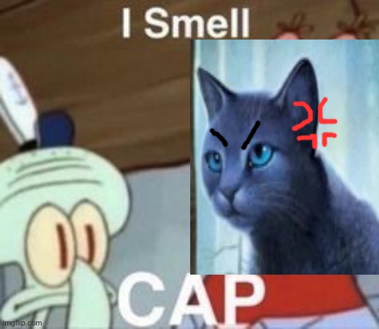 I smell cap | image tagged in i smell cap | made w/ Imgflip meme maker