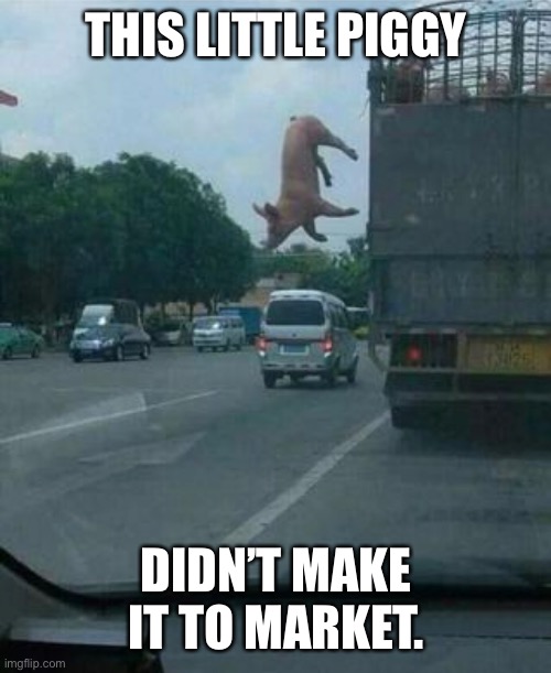 Little piggy | THIS LITTLE PIGGY; DIDN’T MAKE IT TO MARKET. | image tagged in pigs fly | made w/ Imgflip meme maker