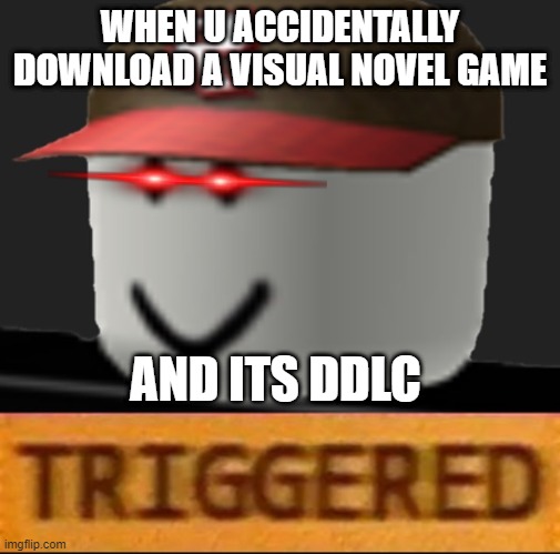 Roblox Triggered | WHEN U ACCIDENTALLY DOWNLOAD A VISUAL NOVEL GAME; AND ITS DDLC | image tagged in roblox triggered | made w/ Imgflip meme maker