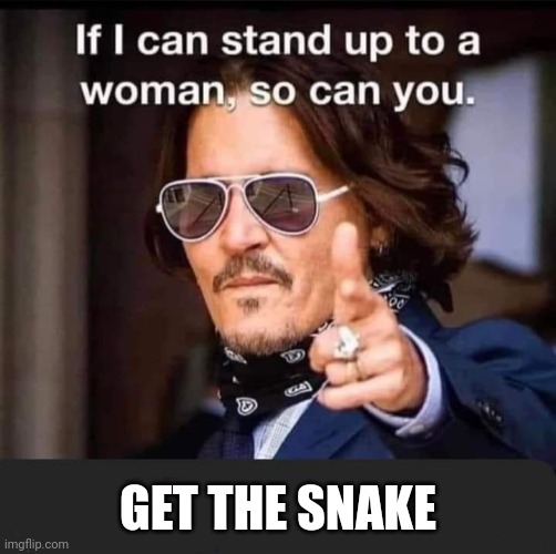 Get the snake | GET THE SNAKE | image tagged in do it | made w/ Imgflip meme maker