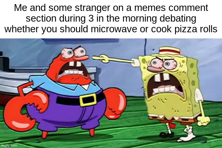 Post where that hapened: https://imgflip.com/i/6n5dpo | Me and some stranger on a memes comment section during 3 in the morning debating whether you should microwave or cook pizza rolls | made w/ Imgflip meme maker