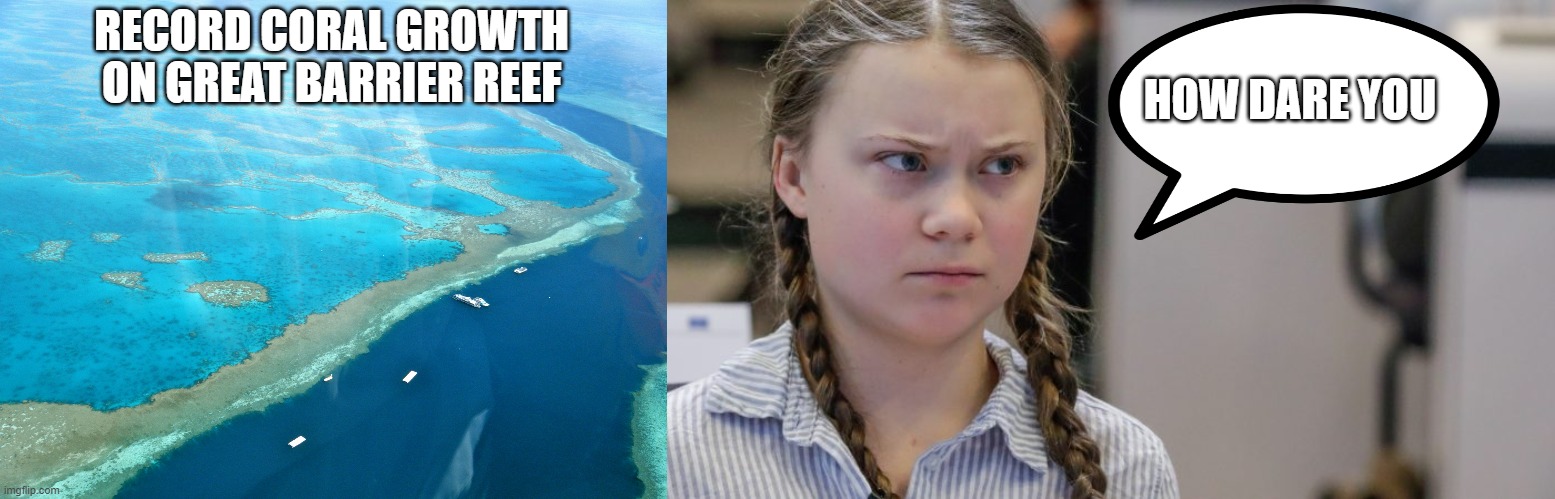 HOW DARE YOU; RECORD CORAL GROWTH ON GREAT BARRIER REEF | image tagged in great barrier reef,pissedoff greta | made w/ Imgflip meme maker