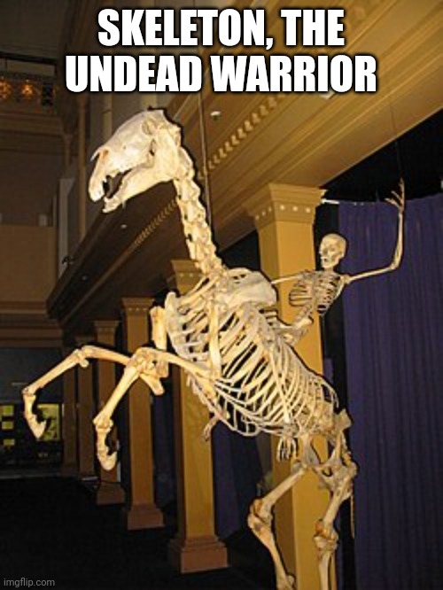 I looked, and behold, a pale horse; and he who sat on it had the name Death |  SKELETON, THE UNDEAD WARRIOR | made w/ Imgflip meme maker