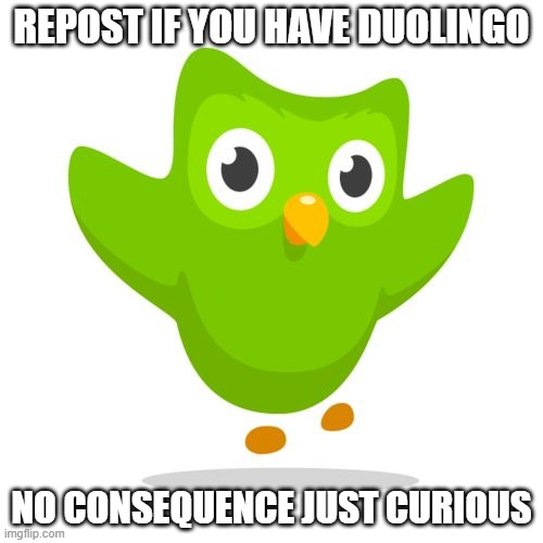 things duolingo teaches you | REPOST IF YOU HAVE DUOLINGO; NO CONSEQUENCE JUST CURIOUS | image tagged in things duolingo teaches you | made w/ Imgflip meme maker