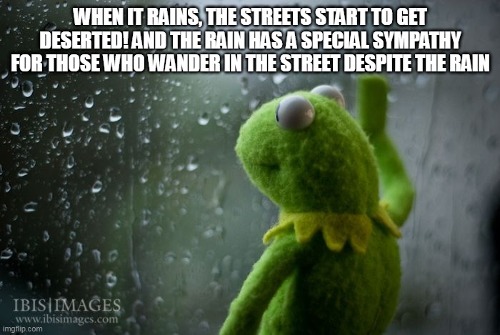kermit window | WHEN IT RAINS, THE STREETS START TO GET DESERTED! AND THE RAIN HAS A SPECIAL SYMPATHY FOR THOSE WHO WANDER IN THE STREET DESPITE THE RAIN | image tagged in kermit window | made w/ Imgflip meme maker