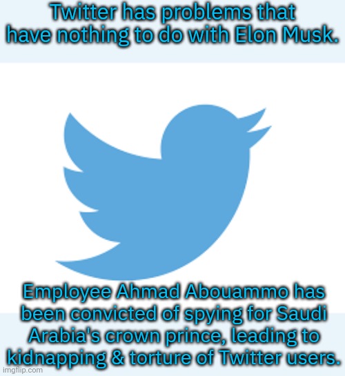 Mohammed bin Salman's lackey. | Twitter has problems that have nothing to do with Elon Musk. Employee Ahmad Abouammo has been convicted of spying for Saudi Arabia's crown prince, leading to kidnapping & torture of Twitter users. | image tagged in twitter bird,human rights,dictator | made w/ Imgflip meme maker