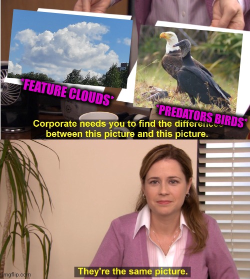-Attacking sky. | *FEATURE CLOUDS*; *PREDATORS BIRDS* | image tagged in memes,they're the same picture,to catch a predator,angry birds,totally looks like,so true memes | made w/ Imgflip meme maker