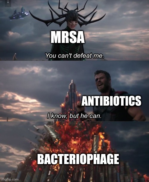 Chad Bacteriophage | MRSA; ANTIBIOTICS; BACTERIOPHAGE | image tagged in you can't defeat me | made w/ Imgflip meme maker
