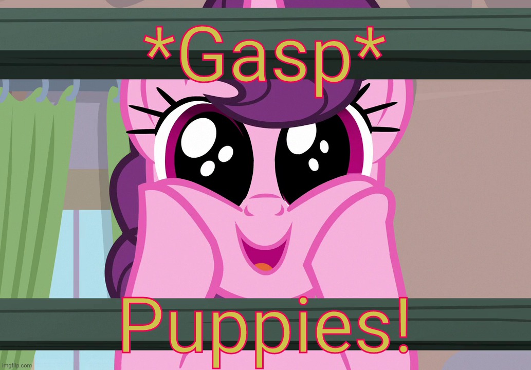 Surprised Sugar Belle (MLP) | *Gasp* Puppies! | image tagged in surprised sugar belle mlp | made w/ Imgflip meme maker