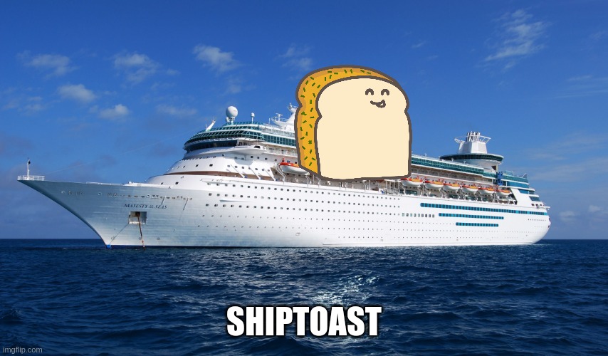 Cruise Ship | SHIPTOAST | image tagged in cruise ship | made w/ Imgflip meme maker
