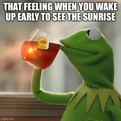 But That's None Of My Business |  THAT FEELING WHEN YOU WAKE UP EARLY TO SEE THE SUNRISE | image tagged in memes,but that's none of my business,kermit the frog | made w/ Imgflip meme maker