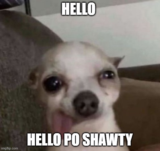 HELLO; HELLO PO SHAWTY | made w/ Imgflip meme maker