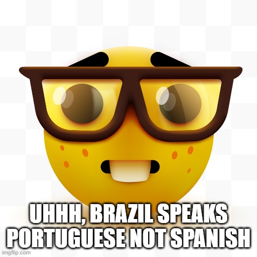 Nerd emoji | UHHH, BRAZIL SPEAKS PORTUGUESE NOT SPANISH | image tagged in nerd emoji | made w/ Imgflip meme maker