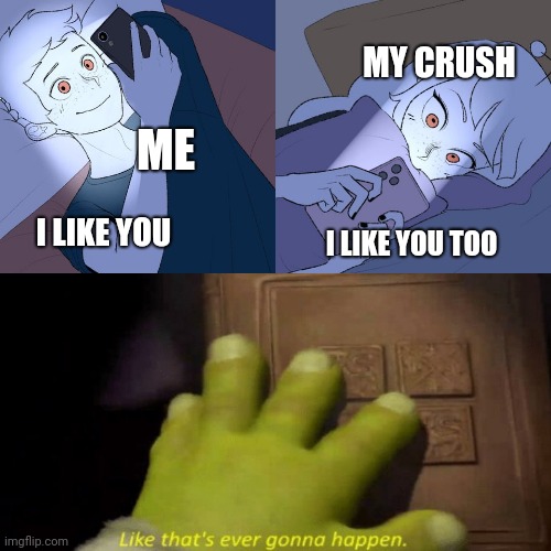 MY CRUSH; ME; I LIKE YOU TOO; I LIKE YOU | image tagged in like that's ever gonna happen | made w/ Imgflip meme maker
