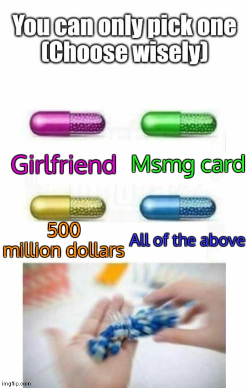 Choose wisely | Msmg card; Girlfriend; 500 million dollars; All of the above | image tagged in choose wisely | made w/ Imgflip meme maker
