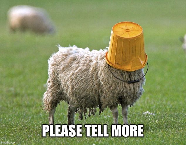 PLEASE TELL MORE | image tagged in stupid sheep | made w/ Imgflip meme maker
