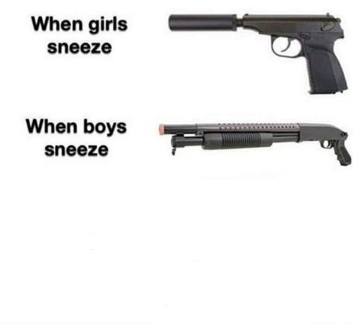 When girls sneeze, when boys sneeze Blank Meme Template