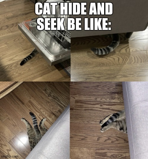 CAT HIDE AND SEEK BE LIKE: | image tagged in cat stealth mode | made w/ Imgflip meme maker