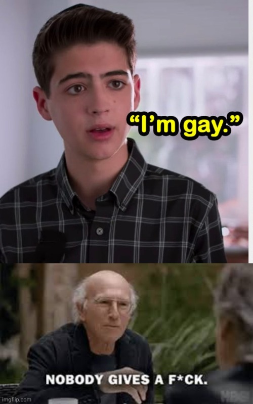 The drama and obsession involved with what gets someone's d*ck hard or v*gina wet | image tagged in gays,lesbians,homosexual,larry david,nobody cares | made w/ Imgflip meme maker