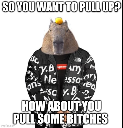 Drip capybara | SO YOU WANT TO PULL UP? HOW ABOUT YOU PULL SOME BITCHES | image tagged in drip capybara | made w/ Imgflip meme maker