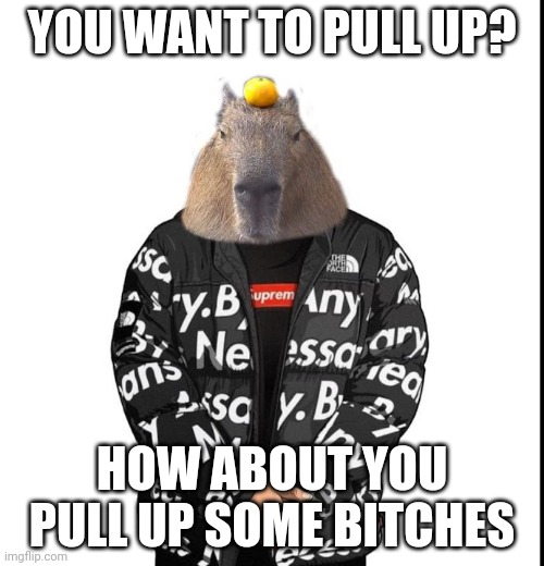 To Neptune |  YOU WANT TO PULL UP? HOW ABOUT YOU PULL UP SOME BITCHES | image tagged in drip capybara | made w/ Imgflip meme maker