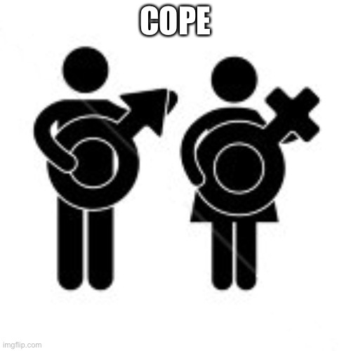 There Is Only Two |  COPE | image tagged in there is only two | made w/ Imgflip meme maker