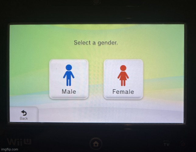 Gender and sexual orientation are different. | image tagged in there are 2 genders confirmed | made w/ Imgflip meme maker