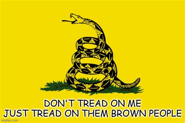 dont tread on me | DON'T TREAD ON ME
JUST TREAD ON THEM BROWN PEOPLE | image tagged in tread on brown people,politics,funny | made w/ Imgflip meme maker