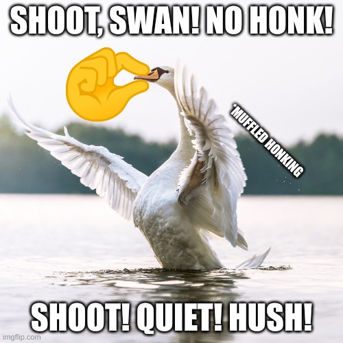 Shut up swan! (My swan version of "shut up seagull") |  SHOOT, SWAN! NO HONK! *MUFFLED HONKING; SHOOT! QUIET! HUSH! | image tagged in shut up,shut,swan | made w/ Imgflip meme maker