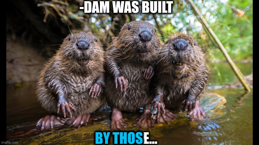 -DAM WAS BUILT BY THOSE... BY THOS | made w/ Imgflip meme maker