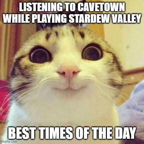 Smiling Cat |  LISTENING TO CAVETOWN WHILE PLAYING STARDEW VALLEY; BEST TIMES OF THE DAY | image tagged in memes,smiling cat | made w/ Imgflip meme maker