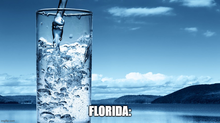 glass of water | FLORIDA: | image tagged in glass of water | made w/ Imgflip meme maker