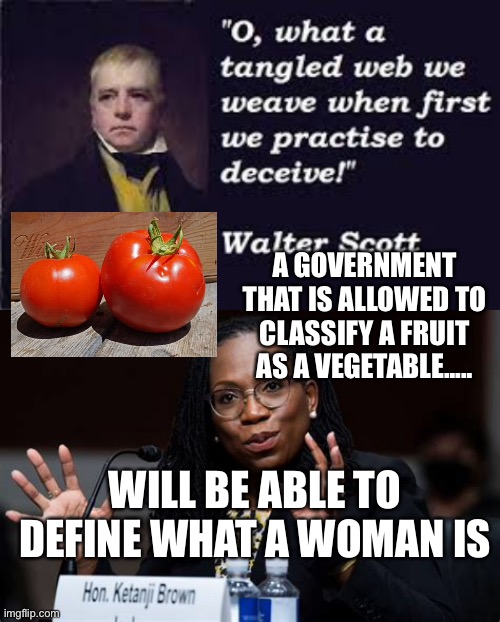 Nature, Biology, science, and botany matter.... only if Government allows it. | A GOVERNMENT THAT IS ALLOWED TO CLASSIFY A FRUIT AS A VEGETABLE..... WILL BE ABLE TO DEFINE WHAT A WOMAN IS | image tagged in tangled web,fake,fake history,manipulation | made w/ Imgflip meme maker