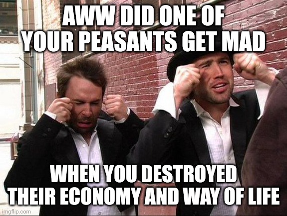 When people tweet mean things to politicians and they complain |  AWW DID ONE OF YOUR PEASANTS GET MAD; WHEN YOU DESTROYED THEIR ECONOMY AND WAY OF LIFE | image tagged in aww did someone get addicted to crack,economy,usa,charlie conspiracy always sunny in philidelphia | made w/ Imgflip meme maker
