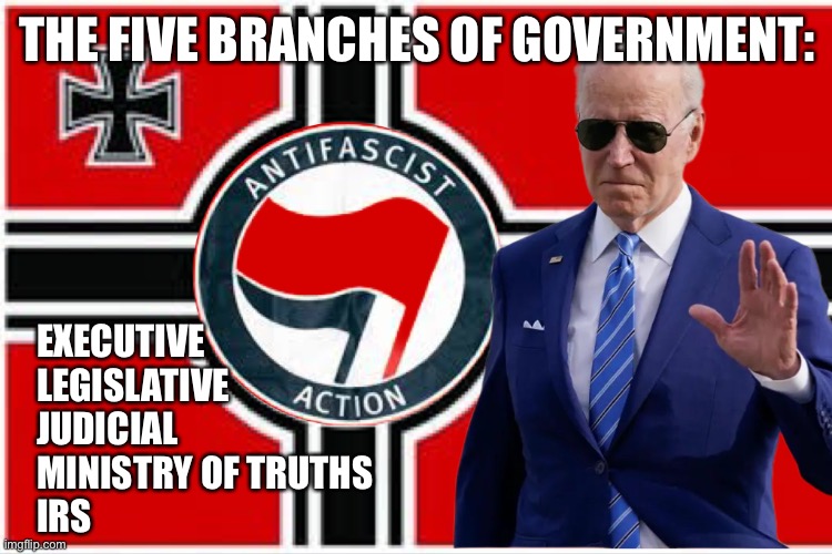 New America | THE FIVE BRANCHES OF GOVERNMENT:; EXECUTIVE 
LEGISLATIVE 
JUDICIAL 
MINISTRY OF TRUTHS 
IRS | image tagged in new democrats,funny,memes | made w/ Imgflip meme maker