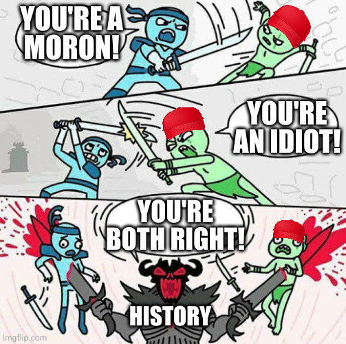 Sword fight | YOU'RE A
MORON! YOU'RE AN IDIOT! YOU'RE BOTH RIGHT! HISTORY | image tagged in sword fight | made w/ Imgflip meme maker