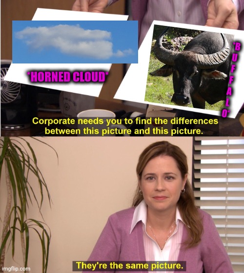 -Big animals around. | *B
U
F
F
A
L
O*; *HORNED CLOUD* | image tagged in memes,they're the same picture,buffalo bill,totally looks like,head,horns | made w/ Imgflip meme maker