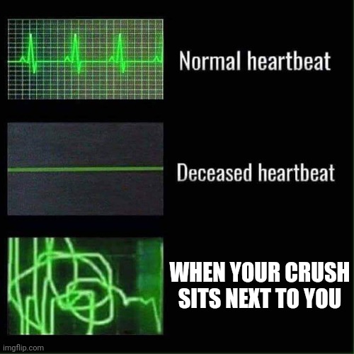 Heart beat meme | WHEN YOUR CRUSH SITS NEXT TO YOU | image tagged in heart beat meme | made w/ Imgflip meme maker