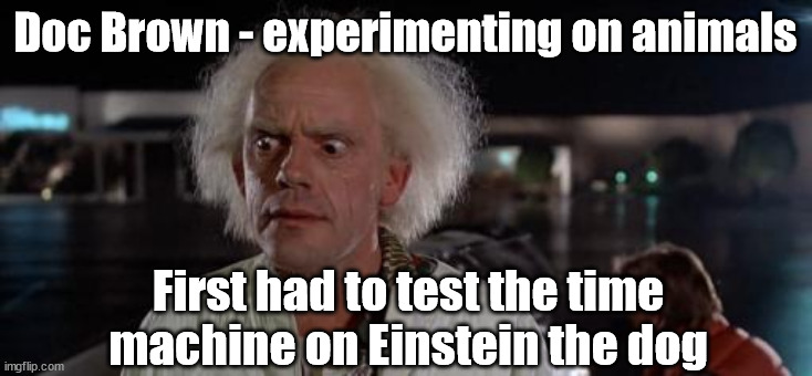 Animal experimentation | Doc Brown - experimenting on animals; First had to test the time machine on Einstein the dog | image tagged in back to the future doc | made w/ Imgflip meme maker