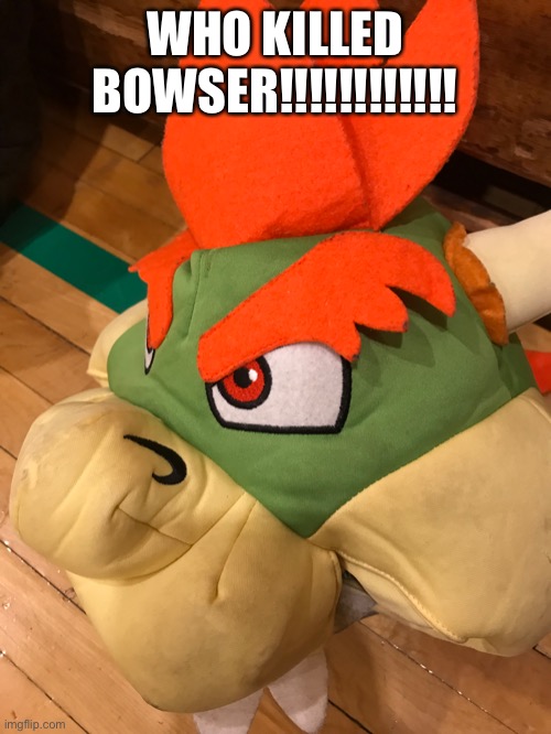 WHY?!!?!?!?!!!?!?! | WHO KILLED BOWSER!!!!!!!!!!!! | image tagged in oh god why,why,why are you reading this | made w/ Imgflip meme maker