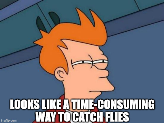 Futurama Fry Meme | LOOKS LIKE A TIME-CONSUMING WAY TO CATCH FLIES | image tagged in memes,futurama fry | made w/ Imgflip meme maker