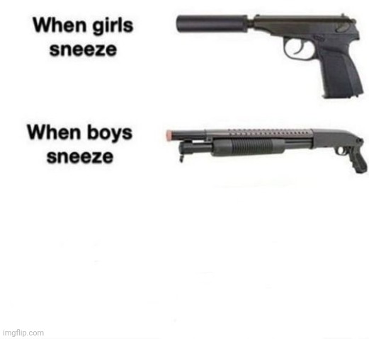 My Custom Template: When girls sneeze, when boys sneeze | image tagged in when girls sneeze when boys sneeze,templates,template,custom template,sneezes,sneeze | made w/ Imgflip meme maker