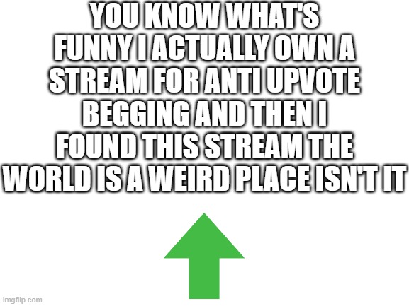 upvote if you think this is weird | YOU KNOW WHAT'S FUNNY I ACTUALLY OWN A STREAM FOR ANTI UPVOTE BEGGING AND THEN I FOUND THIS STREAM THE WORLD IS A WEIRD PLACE ISN'T IT | image tagged in blank white template | made w/ Imgflip meme maker