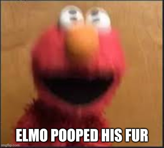 scared elmo | ELMO POOPED HIS FUR | image tagged in scared elmo | made w/ Imgflip meme maker